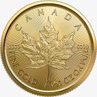 1/10 oz Maple Leaf | Oro | 2023