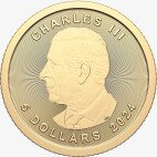 1/10 oz Maple Leaf Gold Coin | 2024