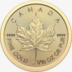 1/10 oz Maple Leaf | Oro | 2024