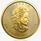 1/2 oz moneta d'oro Maple Leaf (2019)
