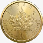 1/2 oz Maple Leaf Goldmünze | 2023