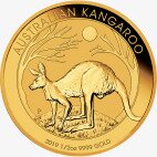 1/2 oz Nugget Kangaroo Gold Coin (2019)