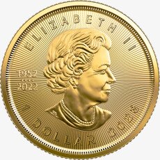 1/20 oz Maple Leaf Gold Coin | 2023