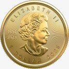 1/20 oz Maple Leaf Gold Coin | 2023