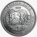 1,25 oz Bisonte Canadese d'argento (2016)