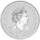1 Kilo Coin Silver | Damaged