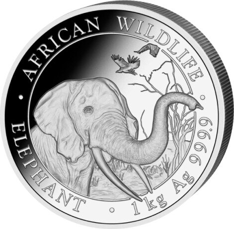 1 Kilo Somalia Elefant | Silber | 2018