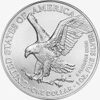 1 oz American Eagle | Plata | 2024