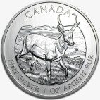 1 oz Kanadische Antilope Wildlife Serie | Silber | 2013