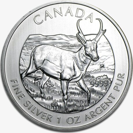 1 oz Kanadische Antilope Wildlife Serie | Silber | 2013