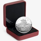 1 oz Maple Leaf Reflection Proof Silver Coin