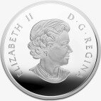Канадский кленовый лист 1 унция 2015 Серебряная монета (Maple Leaf Reflection)