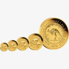 1 oz Nugget Kangaroo Gold Coin (2018)
