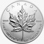 1 oz Silver Coin | Damaged