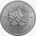 1 oz Silver Maple Leaf Coin | 2022