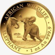 Золотая монета Африканская Дикая Природа Сомалийский Слон 1 унция 2024