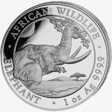 1 Uncja Somalijski Słoń Srebrna Moneta | 2023
