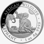 1 oz Somalia Elephant Silver Coin | 2024