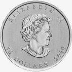 2 oz Canada Goose Silver Coin (2020)