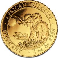 Elefante della Somalia d‘oro