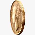 Золотая монета Соверен Виктории 1871-1887 (Sovereign Victoria Young Head Shield back )