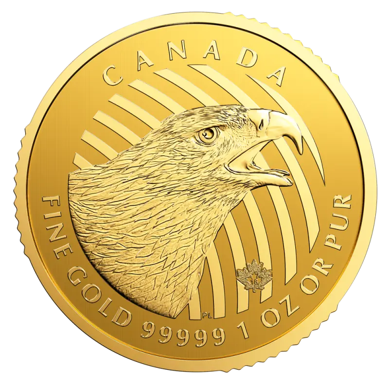 THE GOLD　ゴールドのすべて THE GOLD ゴールドのすべて | 池水雄一 |本 | 通販 | Amazon