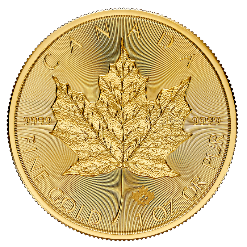 Maple Leaf 1 oz guld 2024