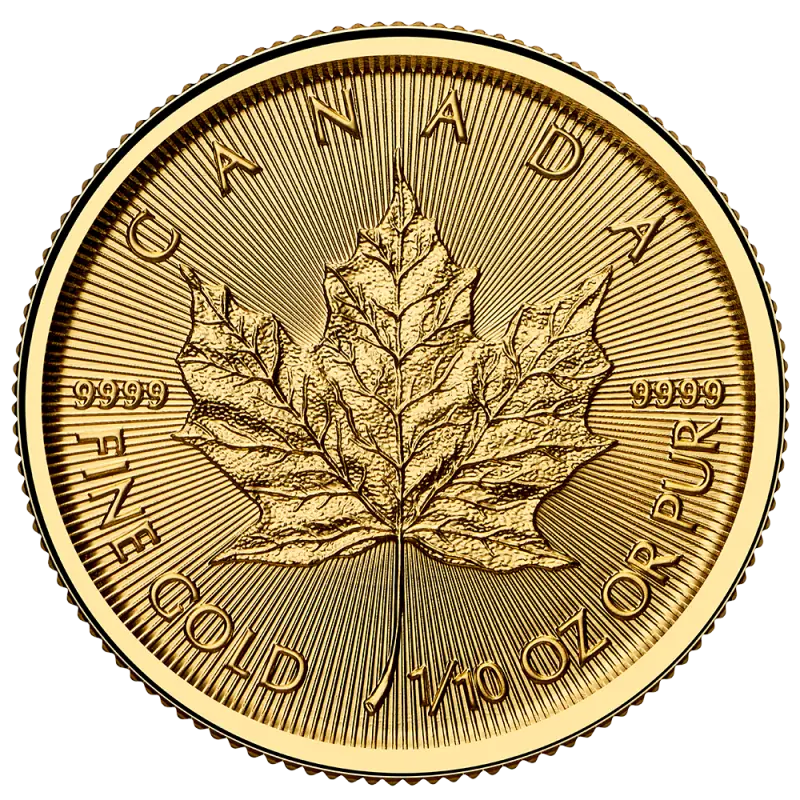 Maple Leaf 1/10 oz guld 2025/2026