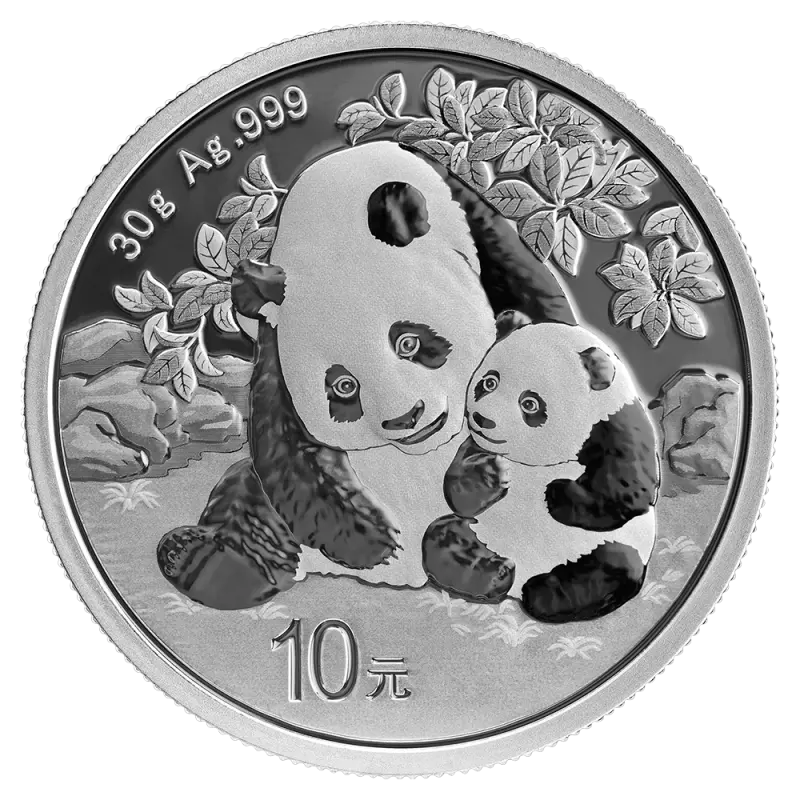 30g China Panda Silver Coin | 2024 - Silver Coin